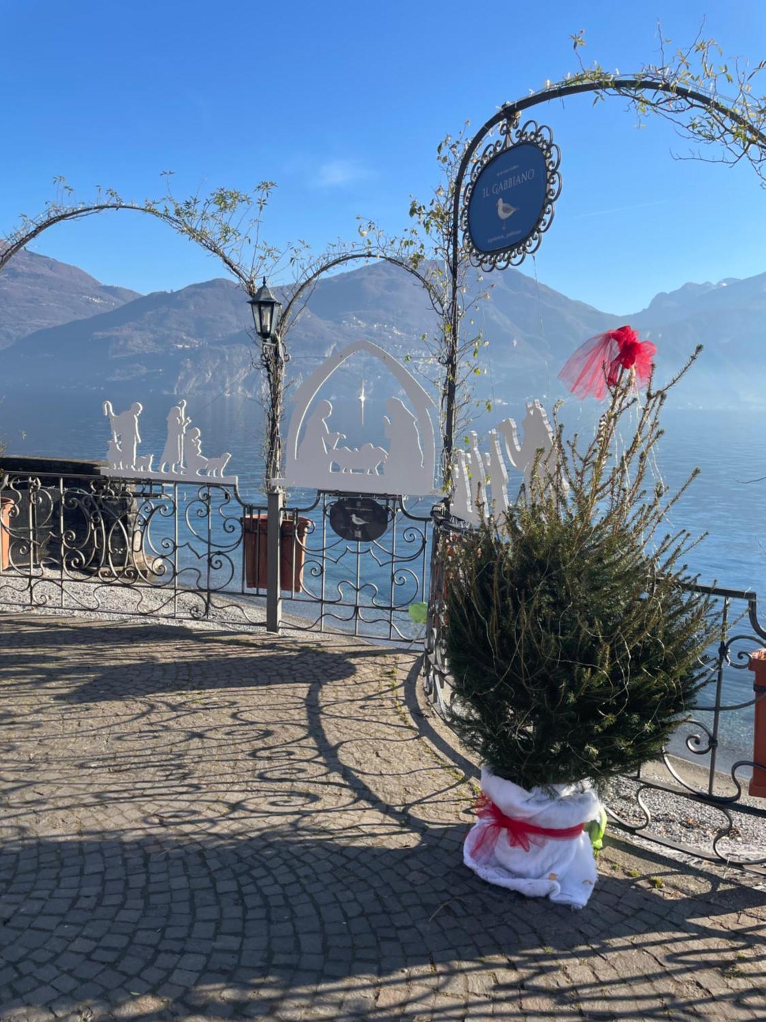 La Terrazza Sul Lago オッスッチョ エクステリア 写真